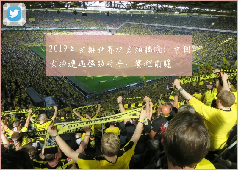 2019年女排世界杯分组揭晓：中国女排遭遇强劲对手，赛程前瞻