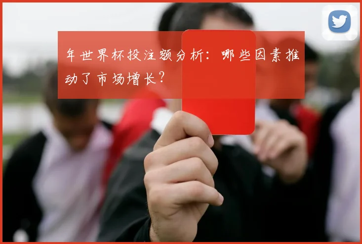 年世界杯投注额分析：哪些因素推动了市场增长？