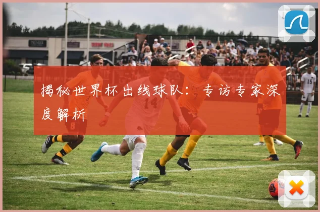 揭秘世界杯出线球队：专访专家深度解析