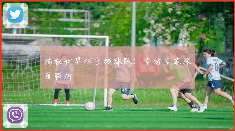 揭秘世界杯出线球队：专访专家深度解析